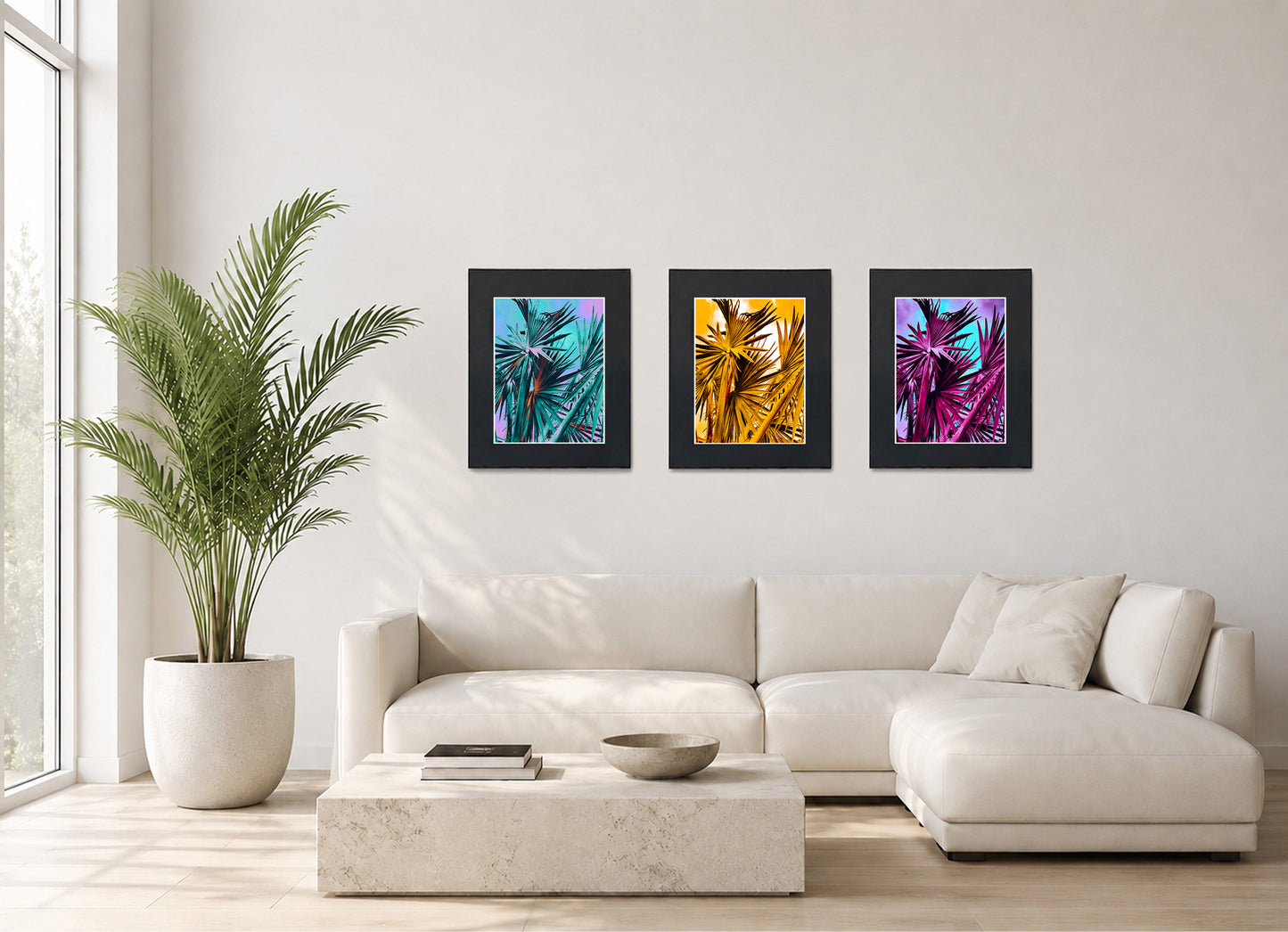 Two framed fine art photography prints displayed as a triptych gallery wall above a sofa with plant.