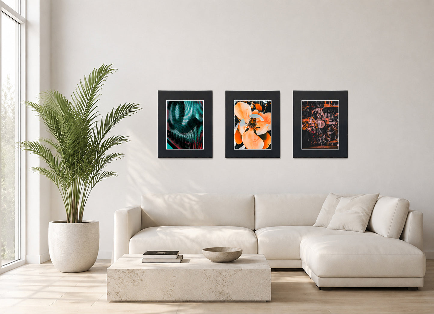 Three framed fine art photography prints displayed as a triptych gallery wall above a sofa with plant.