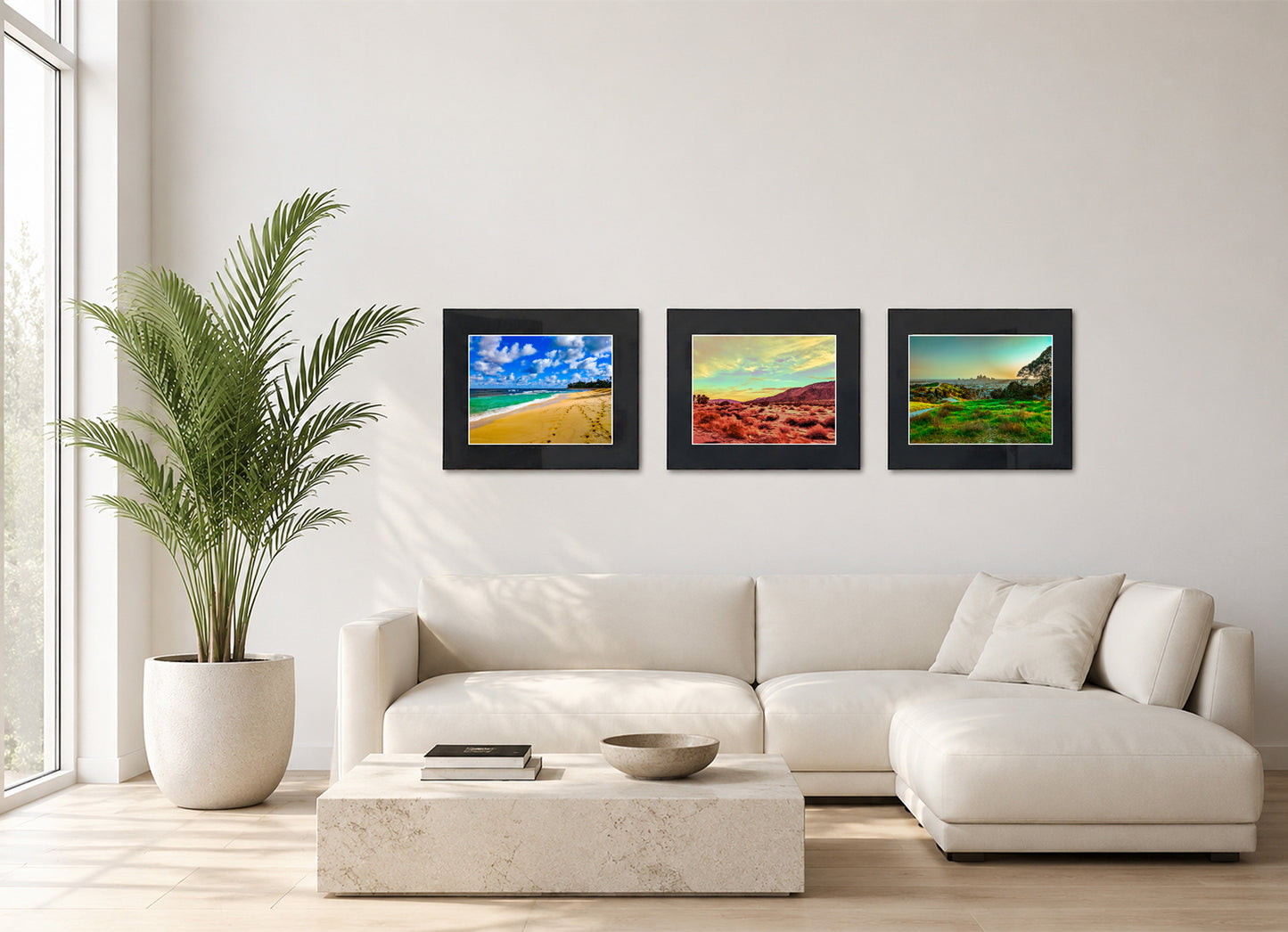 Three framed fine art photography prints displayed as a triptych gallery wall above a sofa with plant.