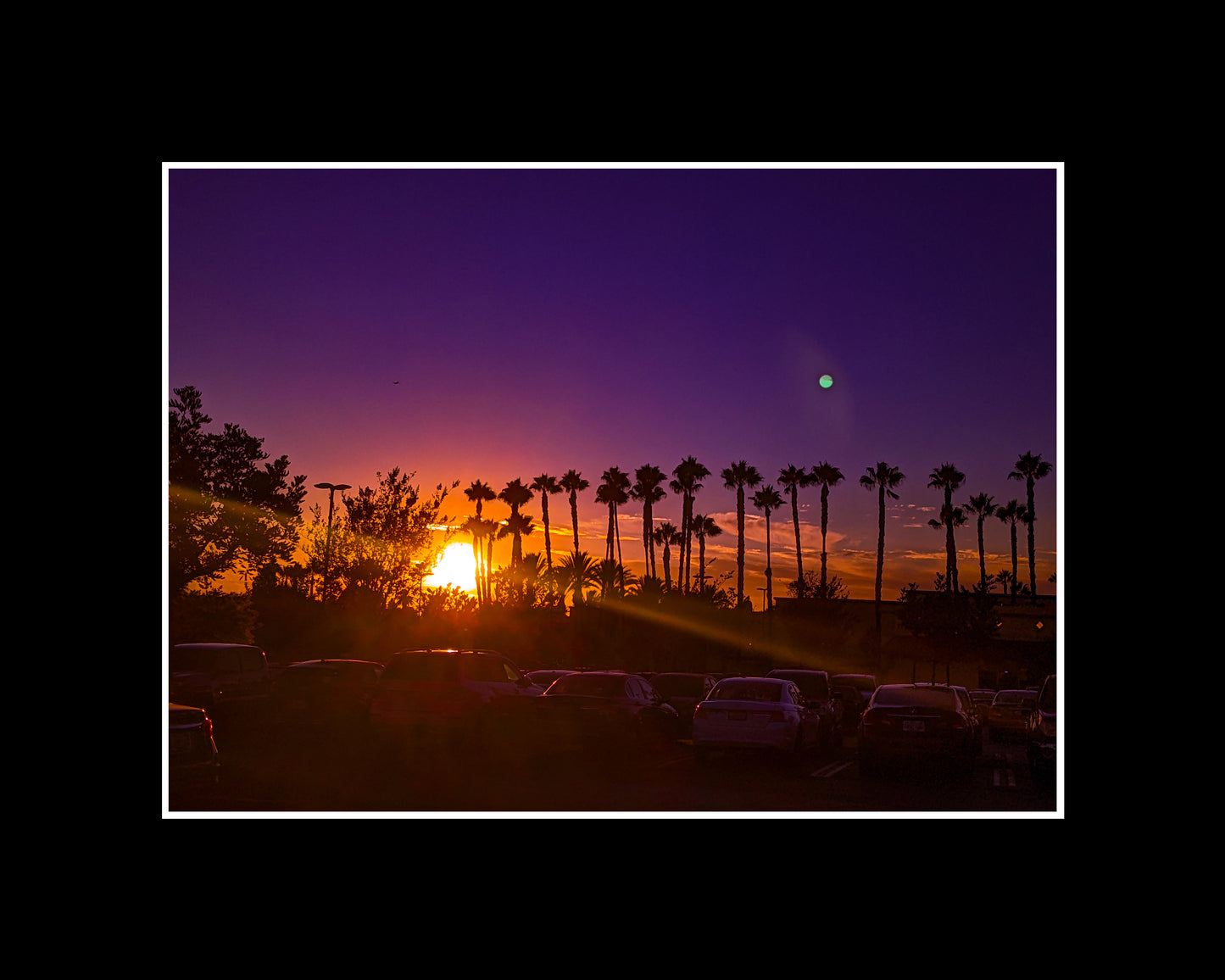 Printed & framed photography of a quintessential Los Angeles sunset framed by silhouetted palm trees