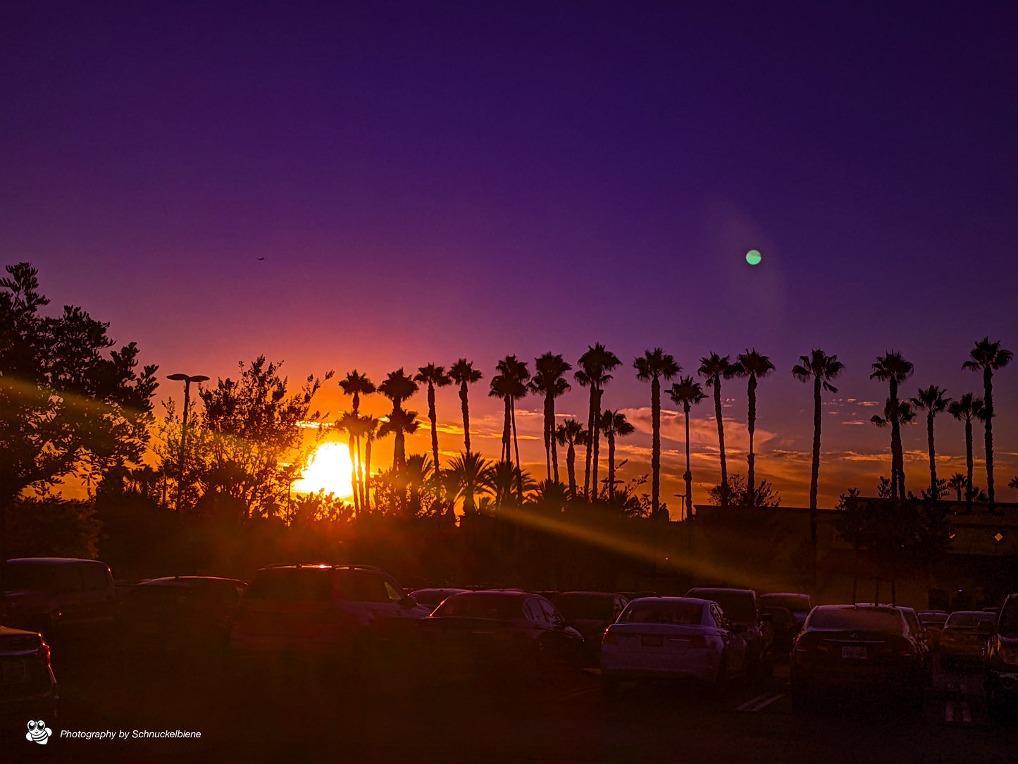 Printed & framed photography of a quintessential Los Angeles sunset framed by silhouetted palm trees