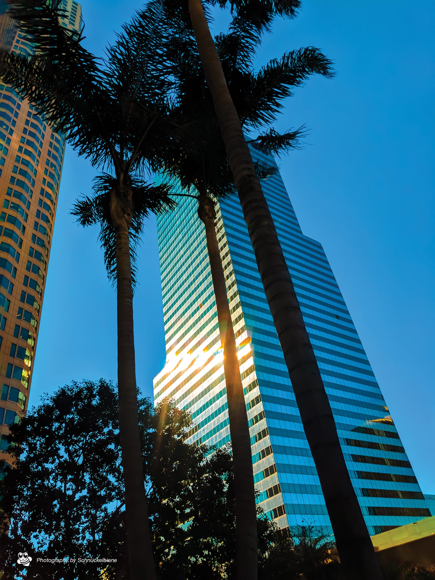 Framed photo print of the US Bank Tower in downtown Los Angeles at sunrise, with a golden glow and reflection of pastel skies