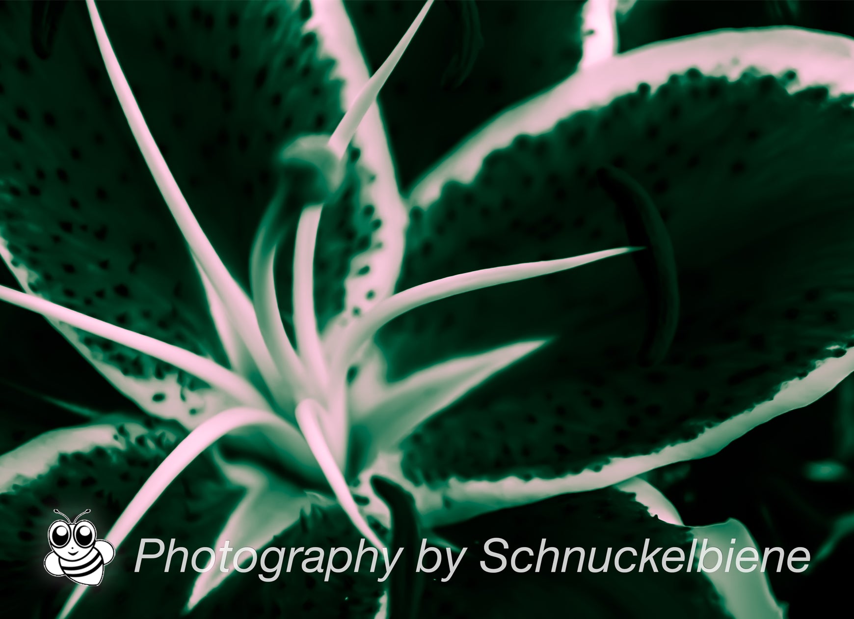Abstract lily art print with dynamic shapes in green. Perfectly combined with the yellow and red versions