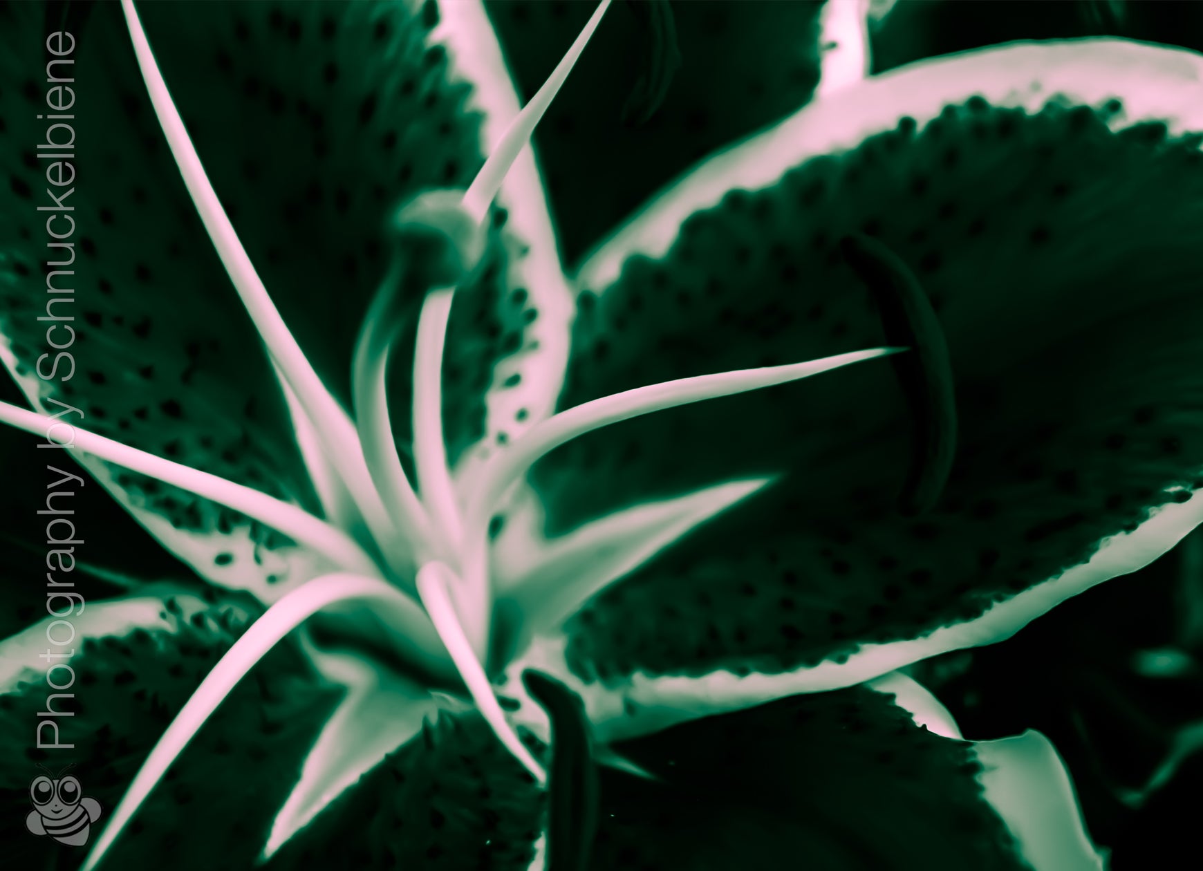 Abstract lily art print with dynamic shapes in green. Perfectly combined with the yellow and red versions
