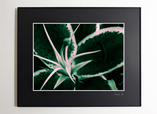 Abstract lily art print with dynamic shapes in green. Perfectly combined with the yellow and red versions