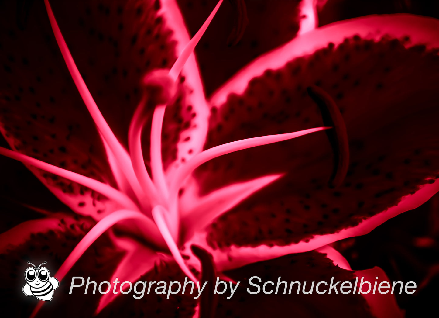 Abstract lily art print with dynamic shapes in red. Perfectly combined with the green and yellow versions