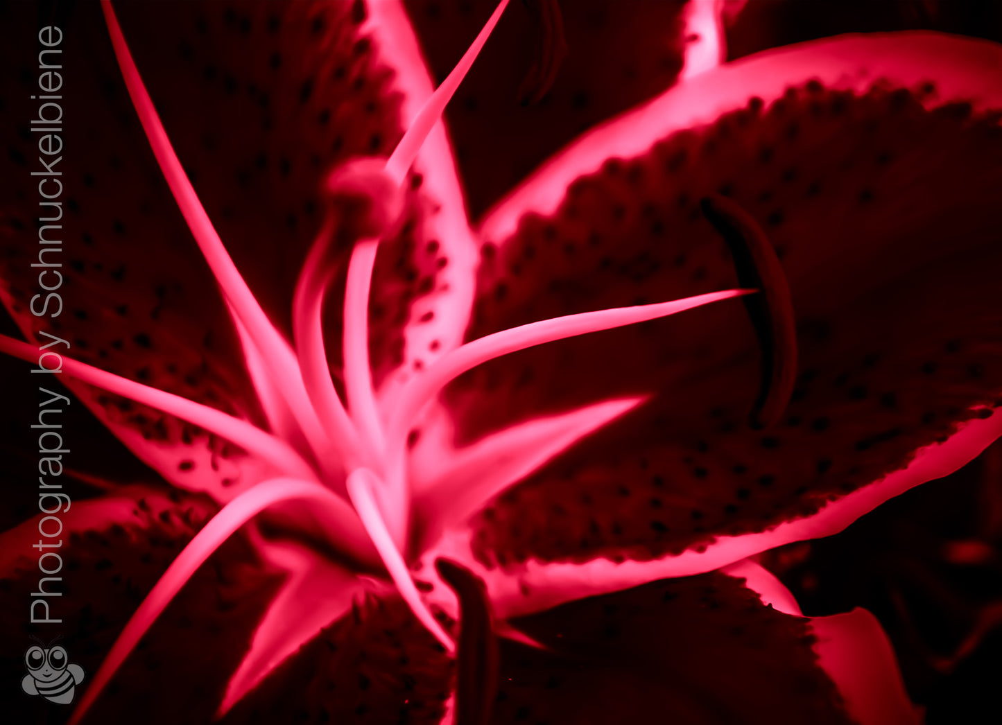 Abstract lily art print with dynamic shapes in red. Perfectly combined with the green and yellow versions