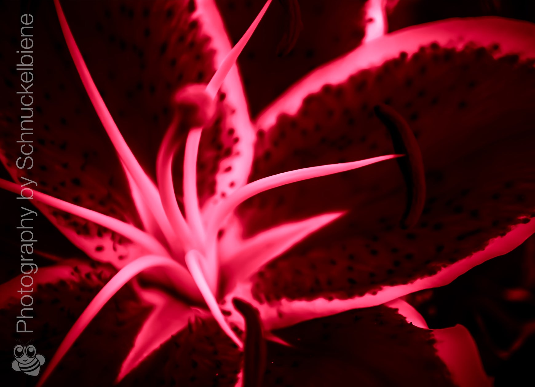 Abstract lily art print with dynamic shapes in red. Perfectly combined with the green and yellow versions