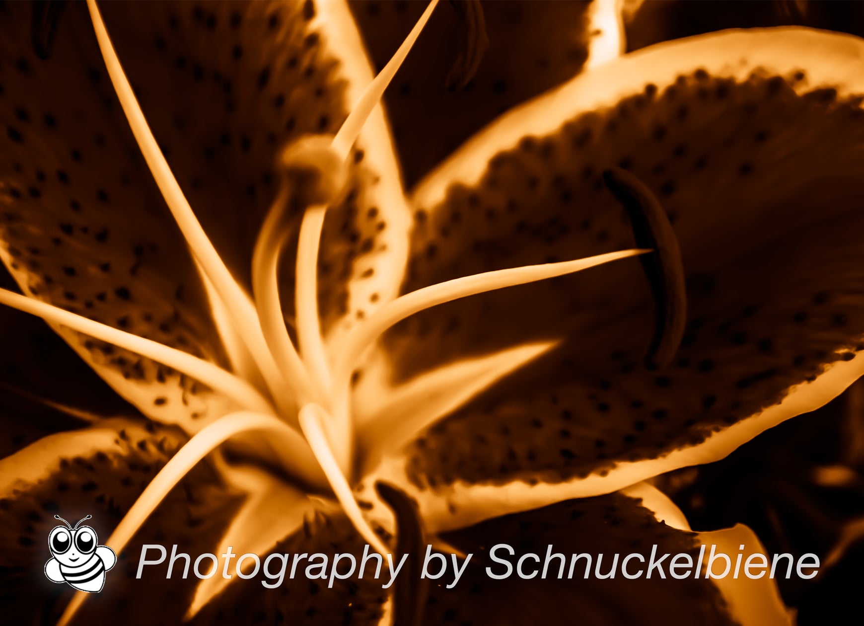 Abstract lily art print with dynamic shapes in yellow. Perfectly combined with the green and red versions