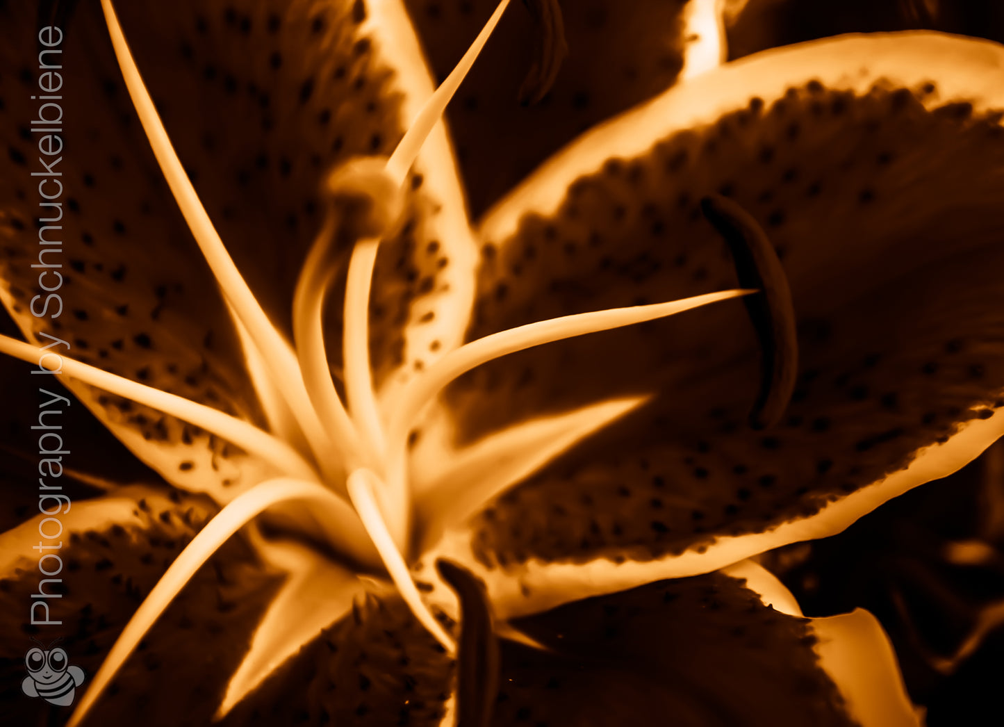 Abstract lily art print with dynamic shapes in yellow. Perfectly combined with the green and red versions
