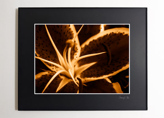 Abstract lily art print with dynamic shapes in yellow. Perfectly combined with the green and red versions