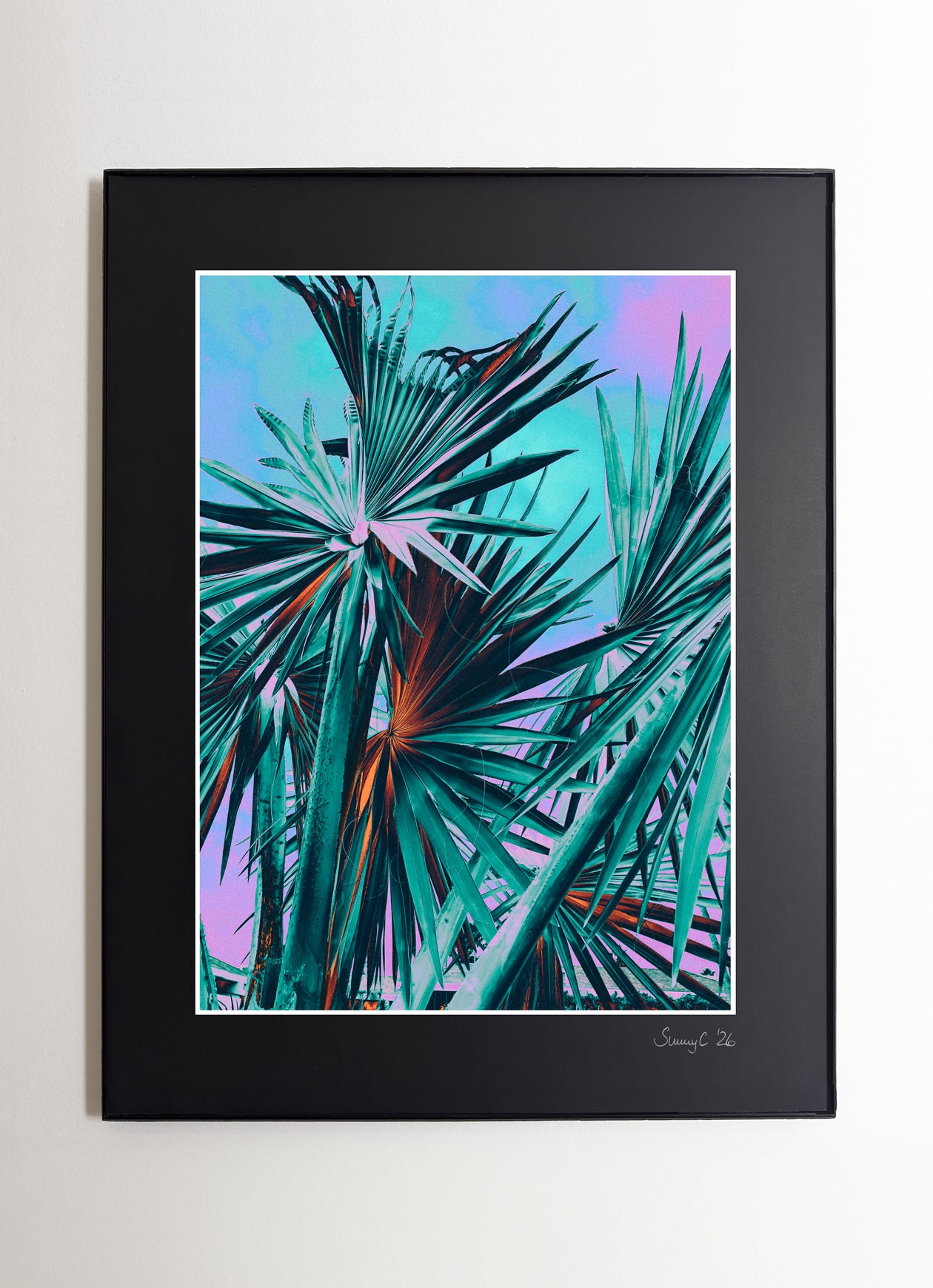 Framed fine art print of a California fan palm in deep blue tones against a minimal background