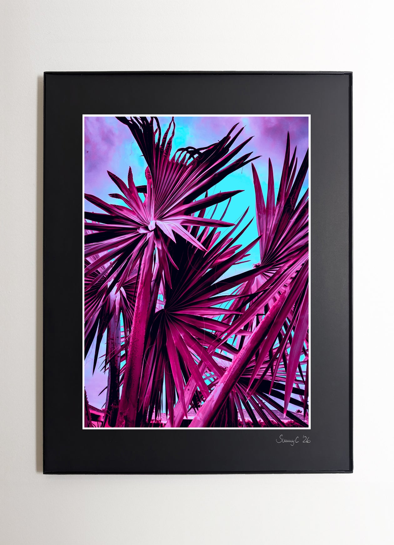 Abstract farmed photograph of a Southern California fan palm featuring bold turquoise and purple tones, creating a vibrant and decorative wall art piece