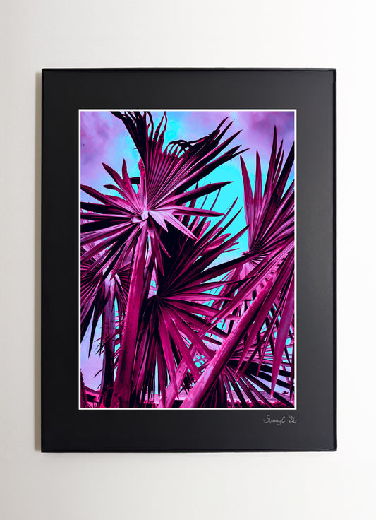 Abstract farmed photograph of a Southern California fan palm featuring bold turquoise and purple tones, creating a vibrant and decorative wall art piece