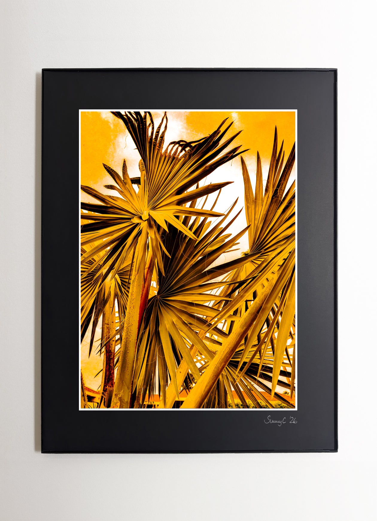 Framed fine art print of a California fan palm in deep yellow tones against a minimal background