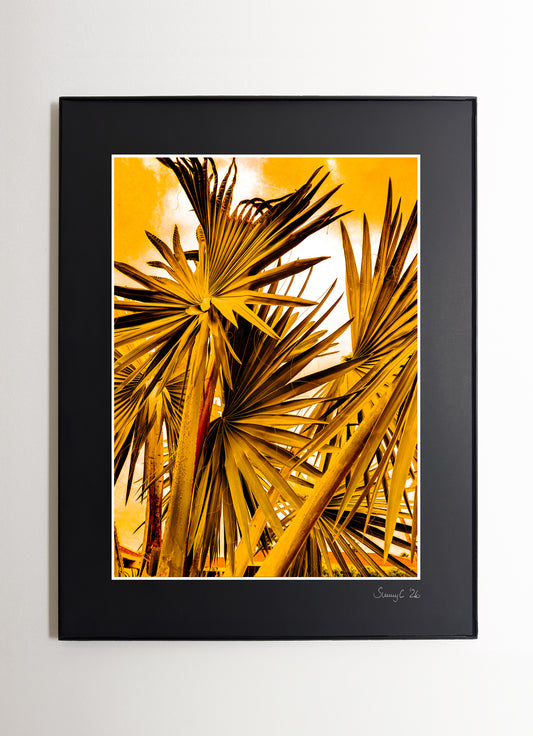 Framed fine art print of a California fan palm in deep yellow tones against a minimal background