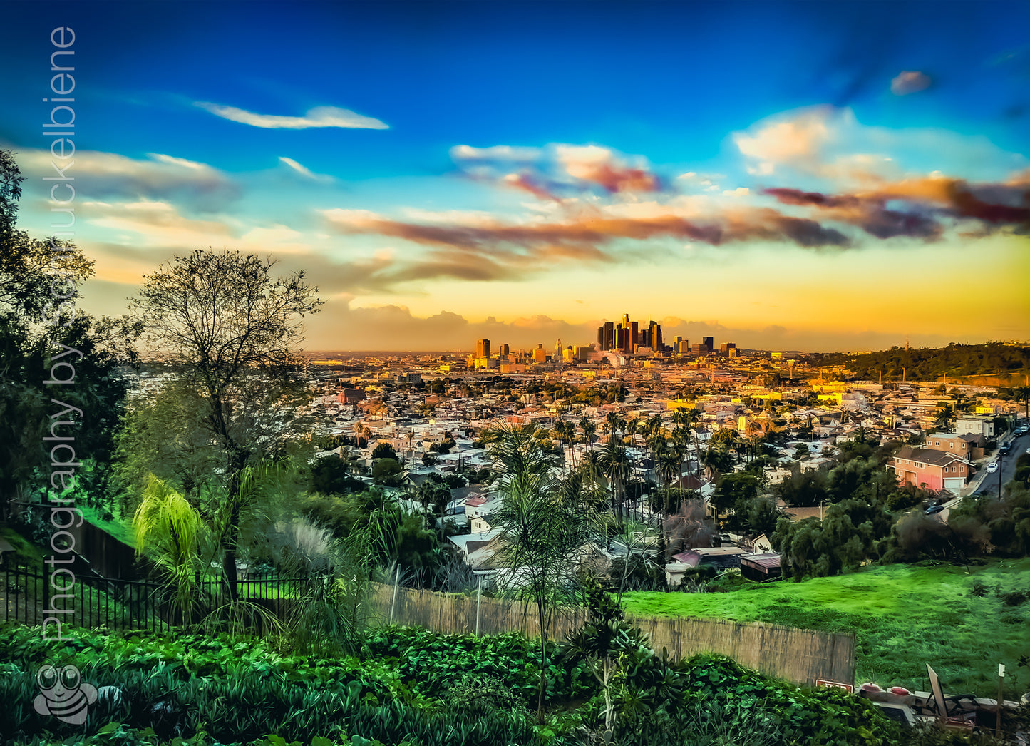 Framed downtown Los Angeles view photograph with a scenic view of the city