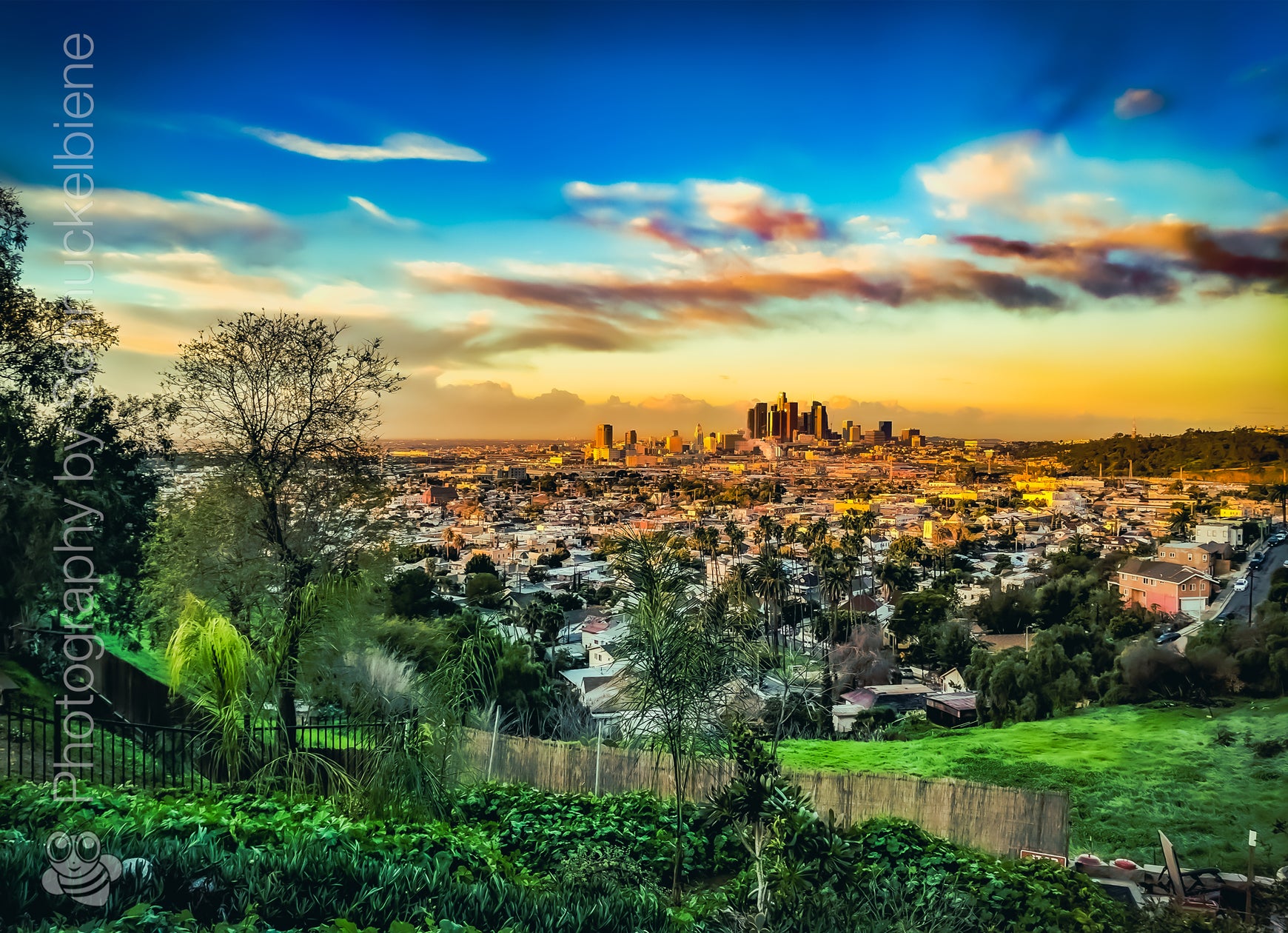 Framed downtown Los Angeles view photograph with a scenic view of the city