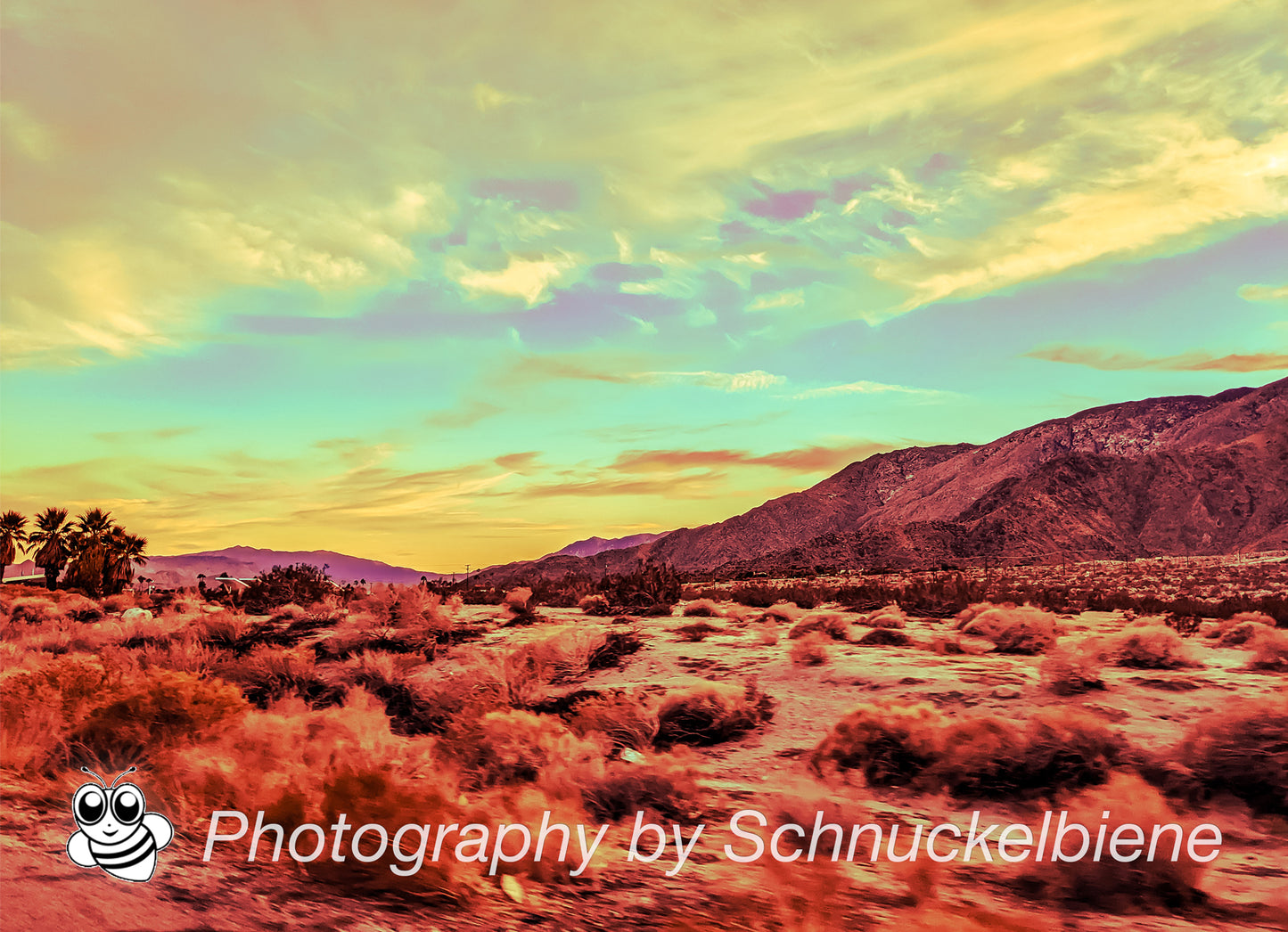 Framed artwork of a desert landscape near highway No. 1 with a blue sky