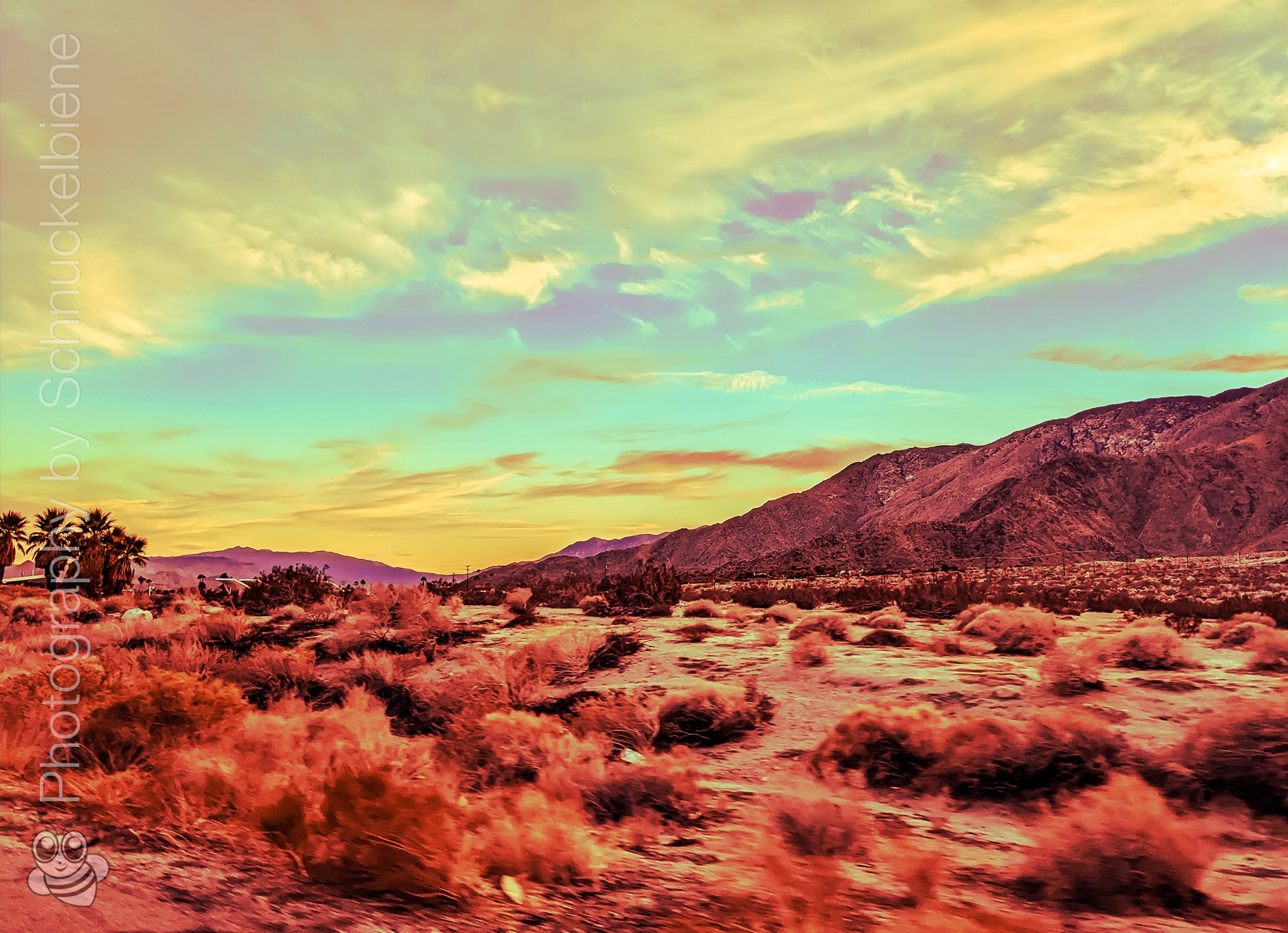 Framed artwork of a desert landscape near highway No. 1 with a blue sky