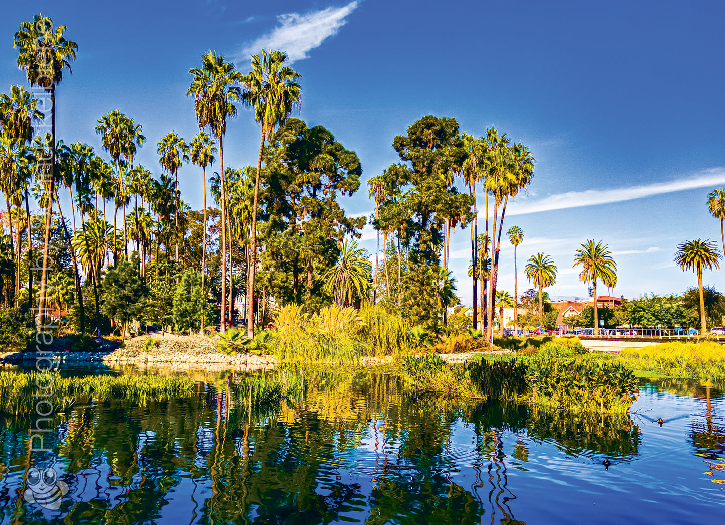 Framed photograph of the Echo Park lake with palm trees reflected in water