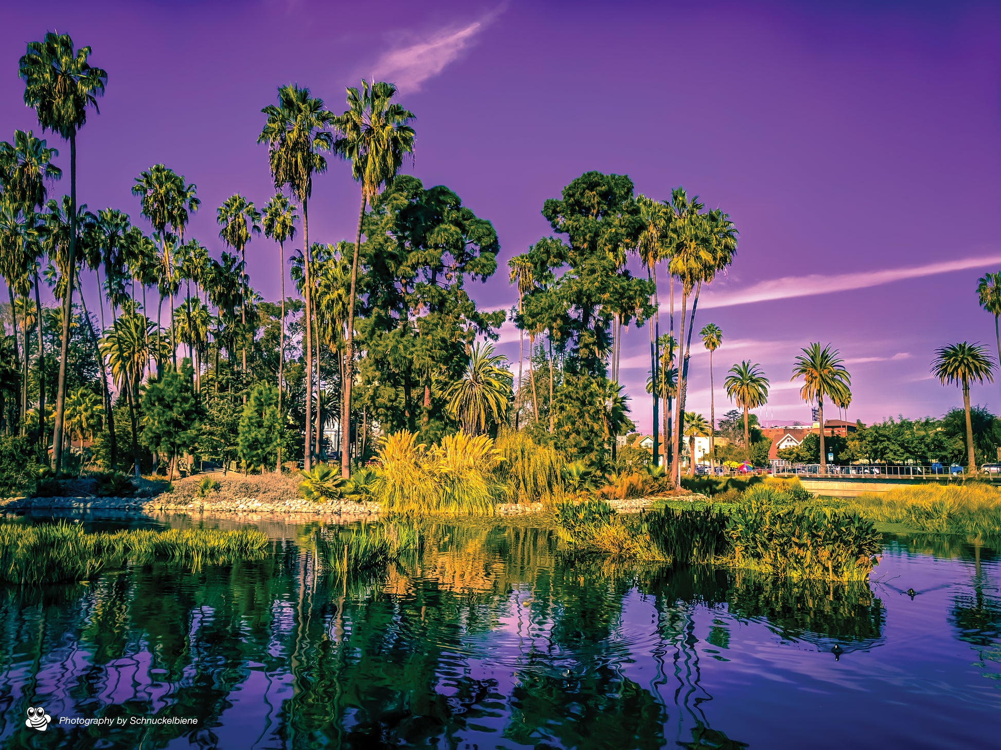 Echo Park by Downtown