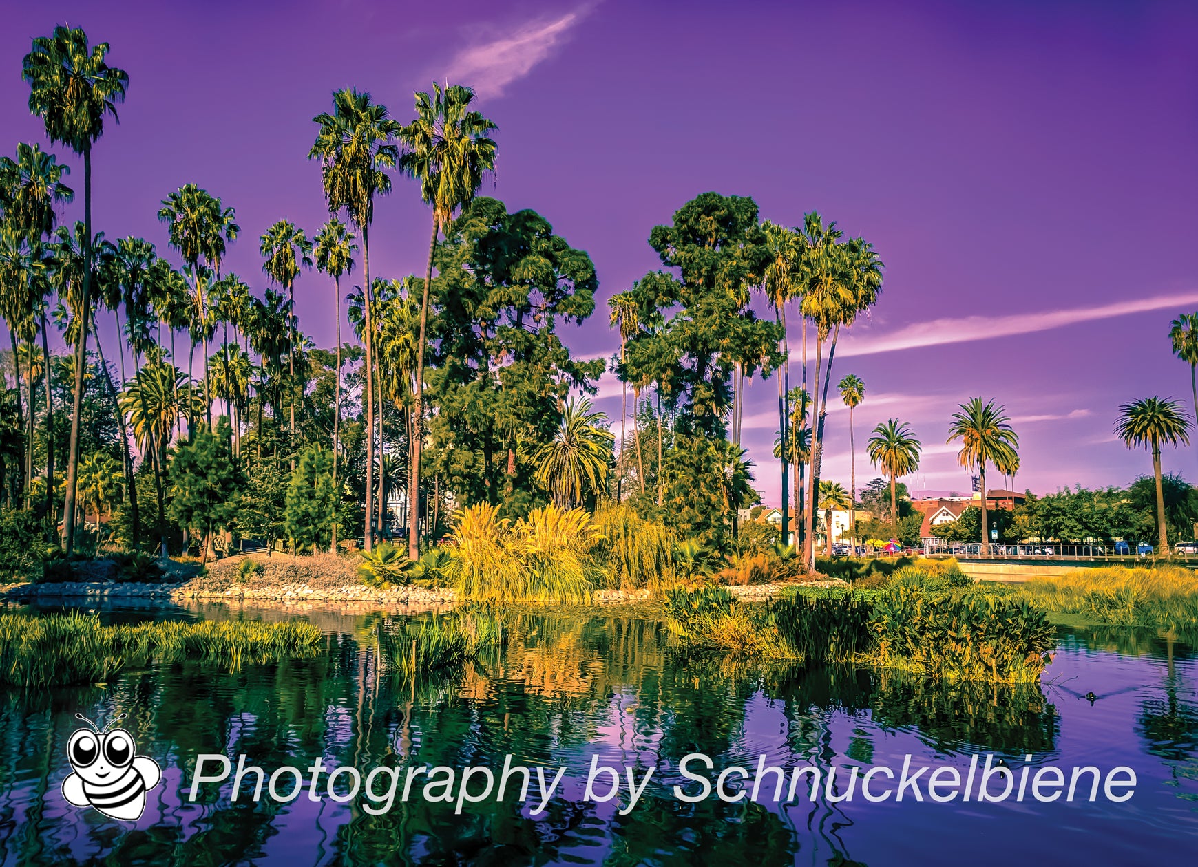 Framed photograph of the Echo Park lake with palm trees reflected in water