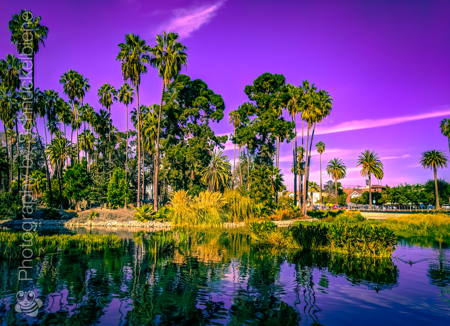 Framed photograph of the Echo Park lake with palm trees reflected in water