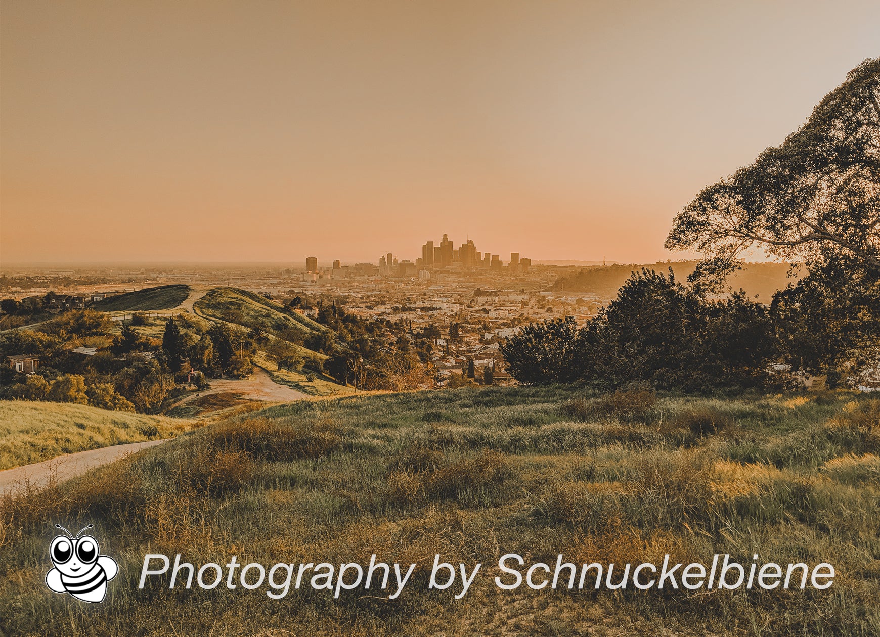 Photo of the serene Glass Top Hill in Lincoln Heights, showcasing stunning views of downtown Los Angeles and peaceful surroundings