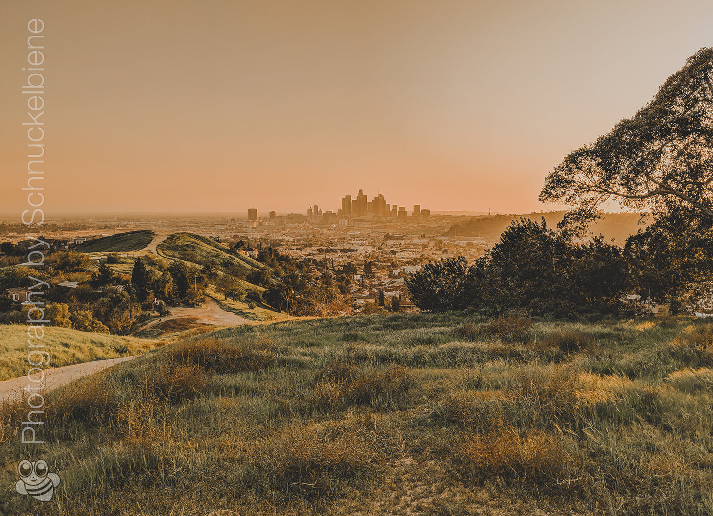 Photo of the serene Glass Top Hill in Lincoln Heights, showcasing stunning views of downtown Los Angeles and peaceful surroundings