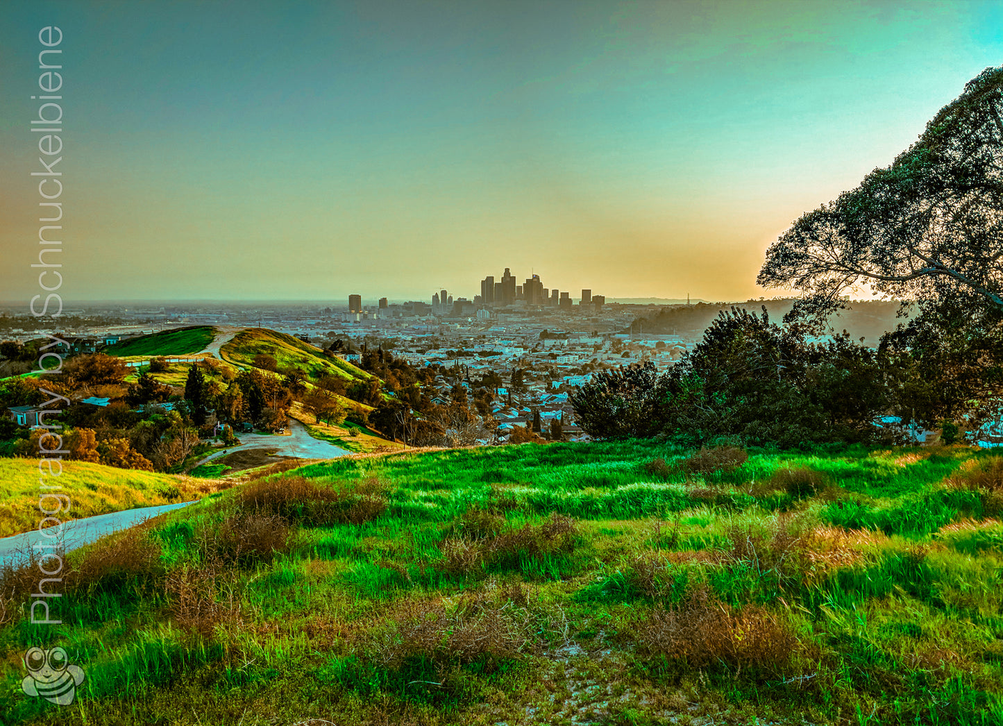 Photo of the serene Glass Top Hill in Lincoln Heights, showcasing stunning views of downtown Los Angeles and peaceful surroundings