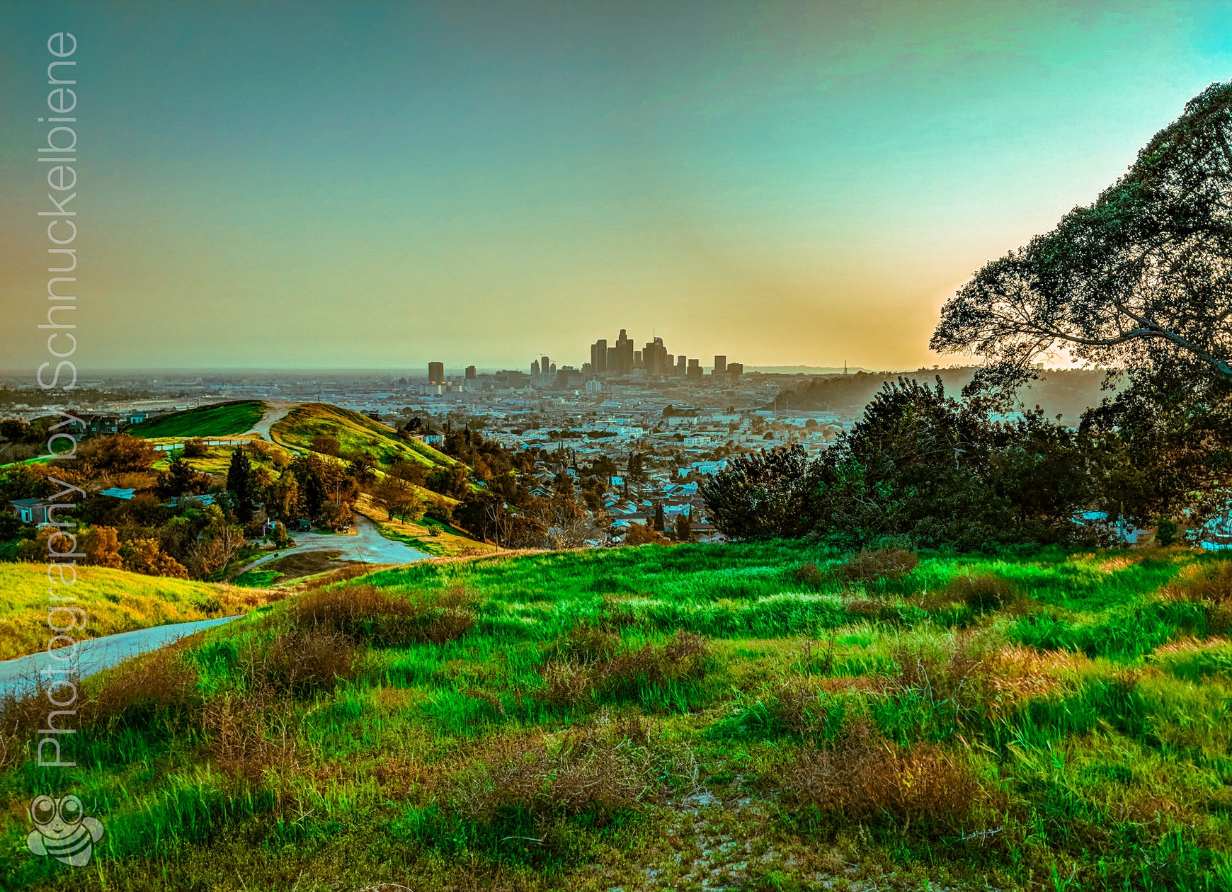 Photo of the serene Glass Top Hill in Lincoln Heights, showcasing stunning views of downtown Los Angeles and peaceful surroundings