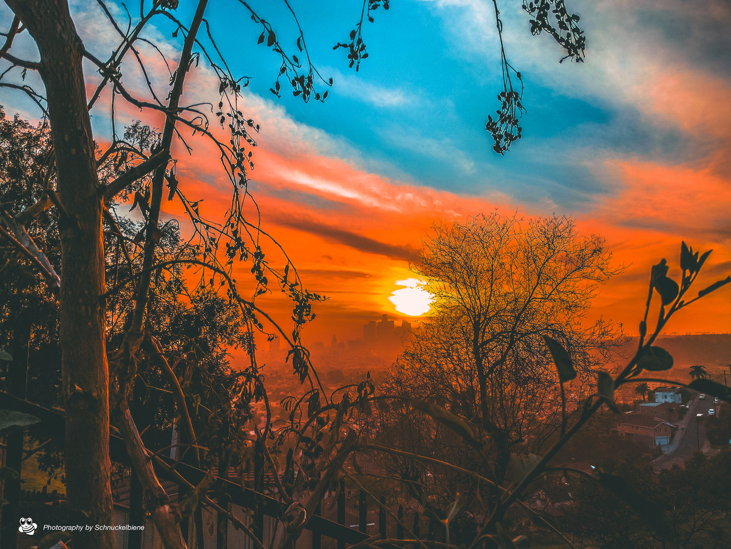 Mystic view of the DTLA skyline during sunset. One of my favorites! Great atmosphere setter in your living room!  Limited edition, signed, digital print, black frame, 3 sizes  Photography by Schnuckelbiene in Los Angeles, Southern California. Buy in a series and get a discount!