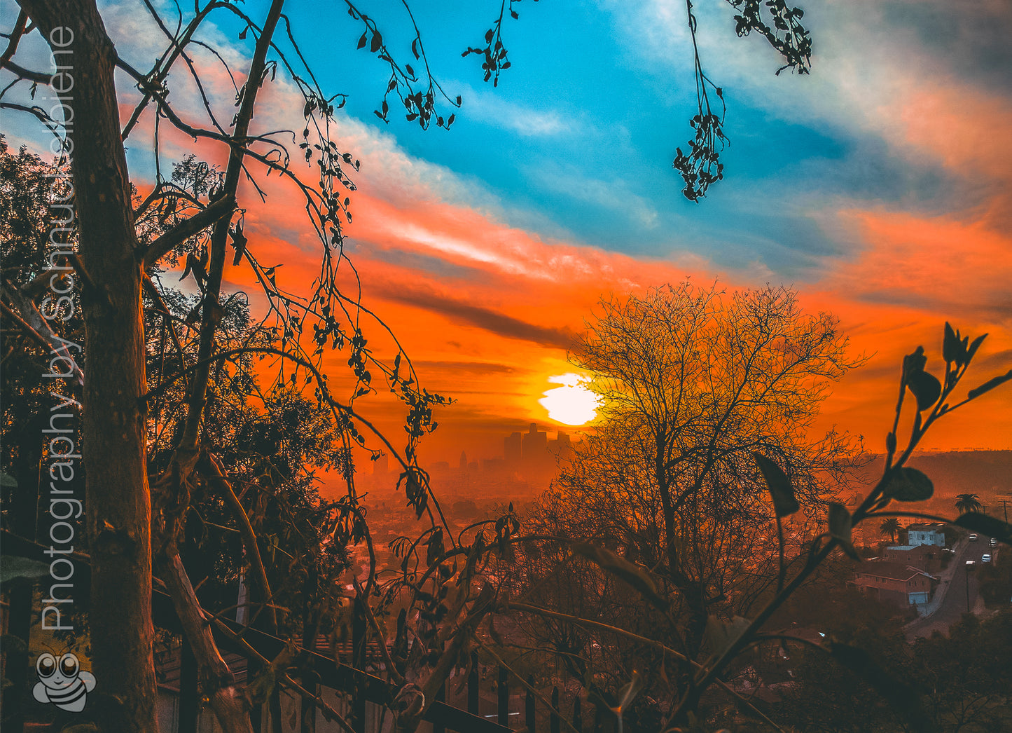 Distant mystic view of DTLA with dark bushes in foreground and dramatic orange-blue sky