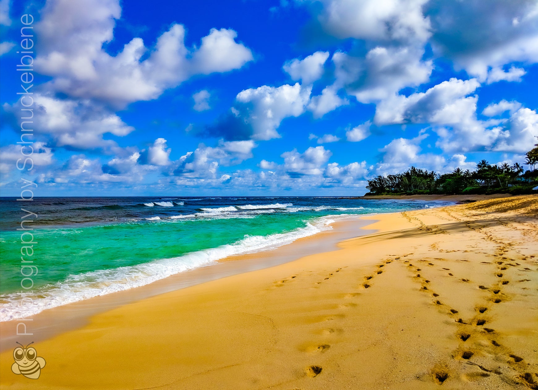 Framed fine art print of Waimea Beach, Oahu, showcasing crystal-clear turquoise water and golden sand, a true Hawaiian paradise