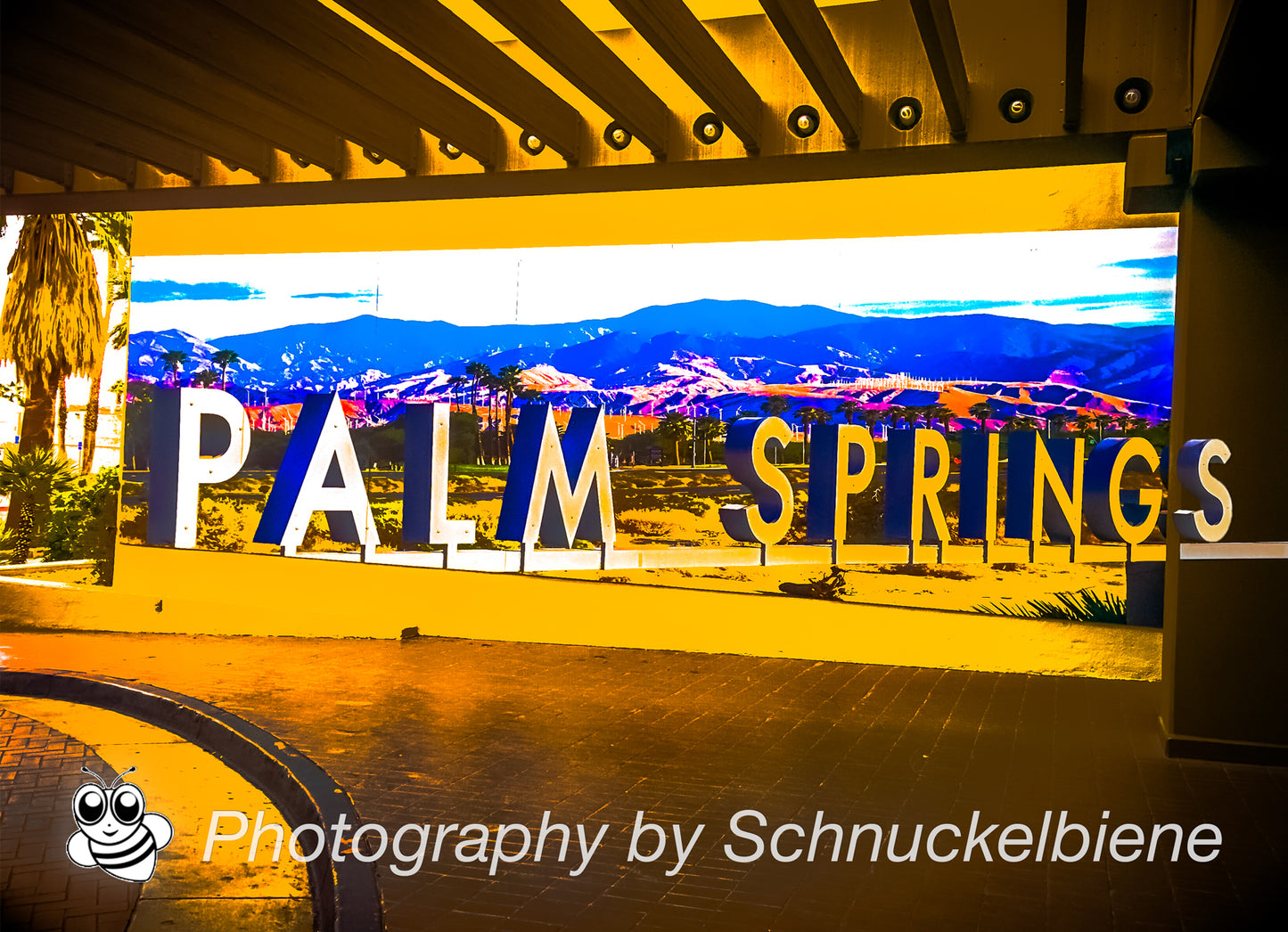Framed photograph of a the Palm Springs letters sign at Hilton Hotel with a scenic desert background