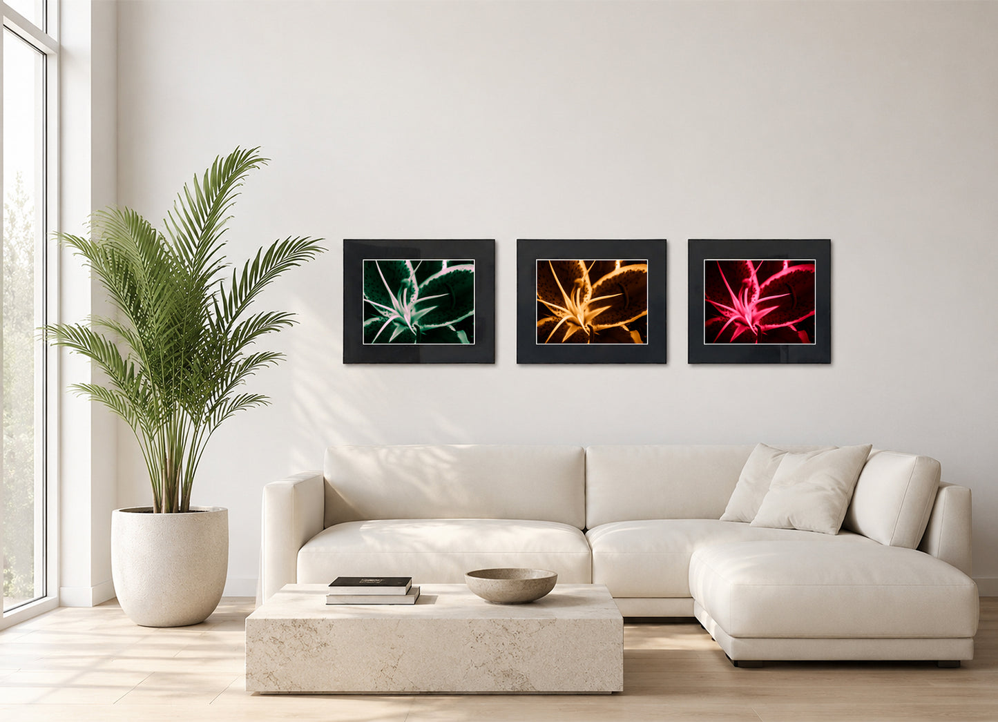 Three framed fine art photography prints displayed as a triptych gallery wall above a sofa with plant.