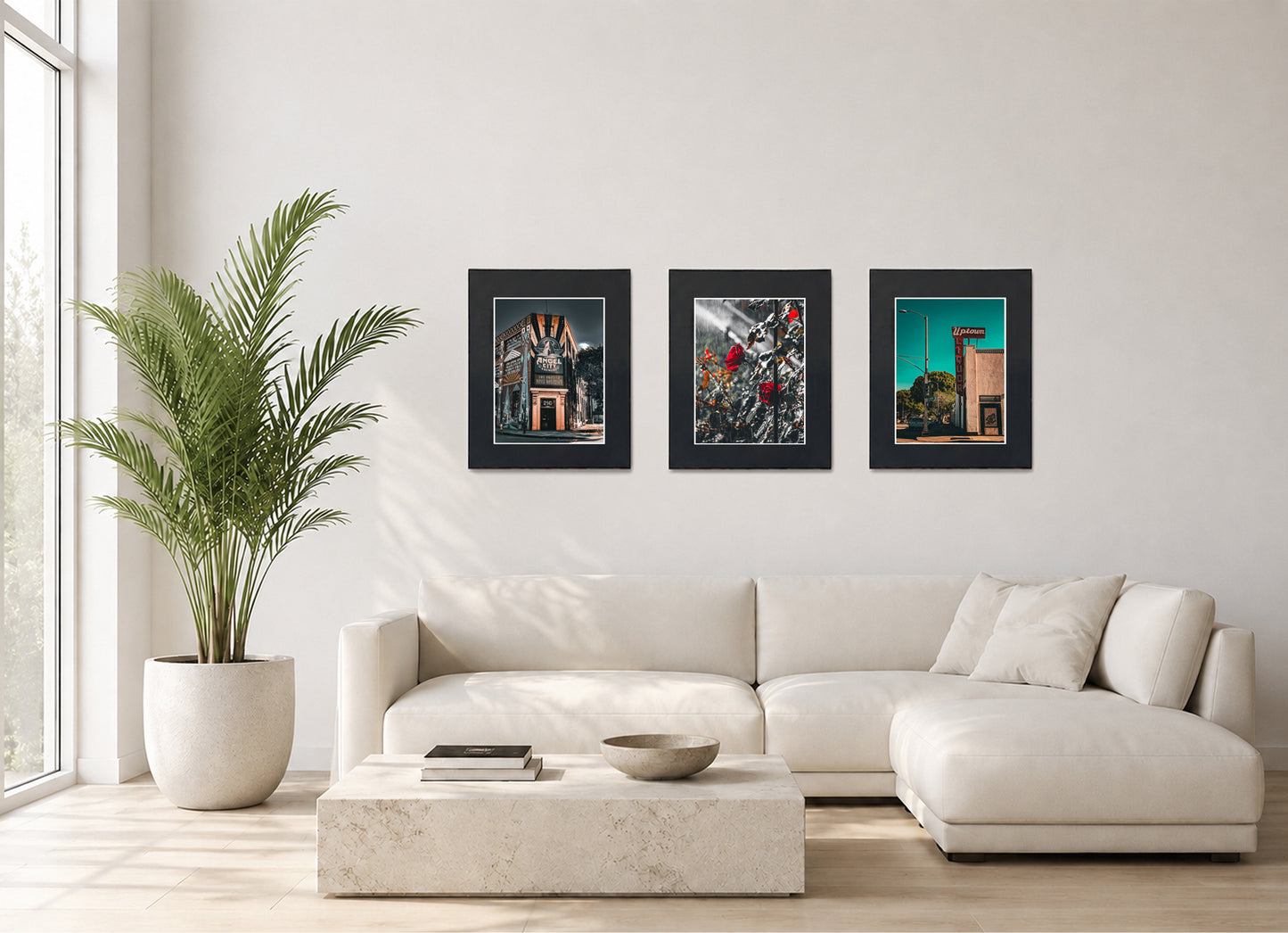 Three framed fine art photography prints displayed as a triptych gallery wall above a sofa with plant.