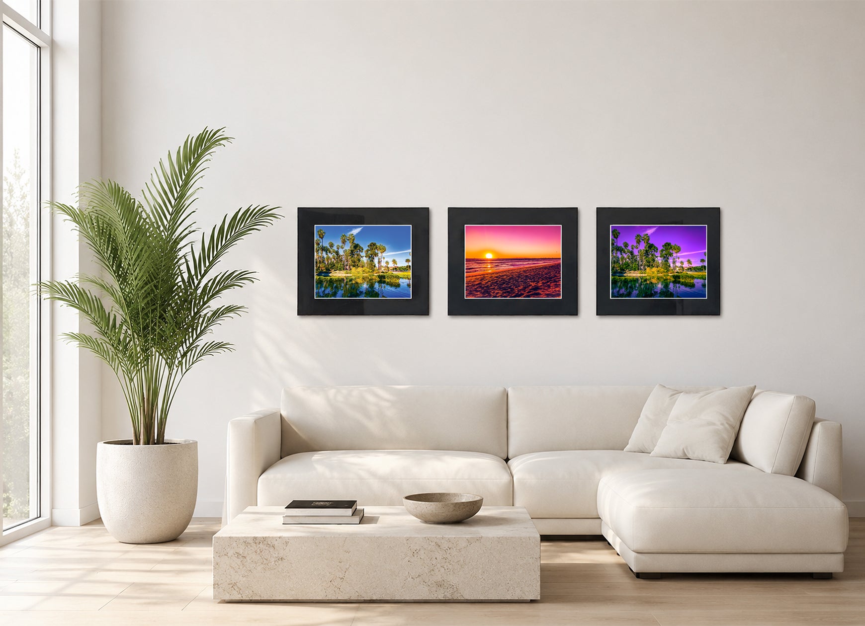 Three framed fine art photography prints displayed as a triptych gallery wall above a sofa with plant.