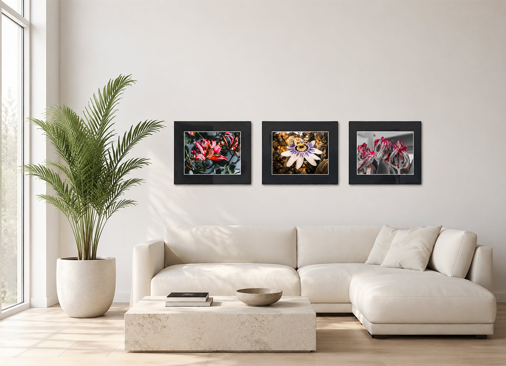 Three framed fine art photography prints displayed as a triptych gallery wall above a sofa with plant.