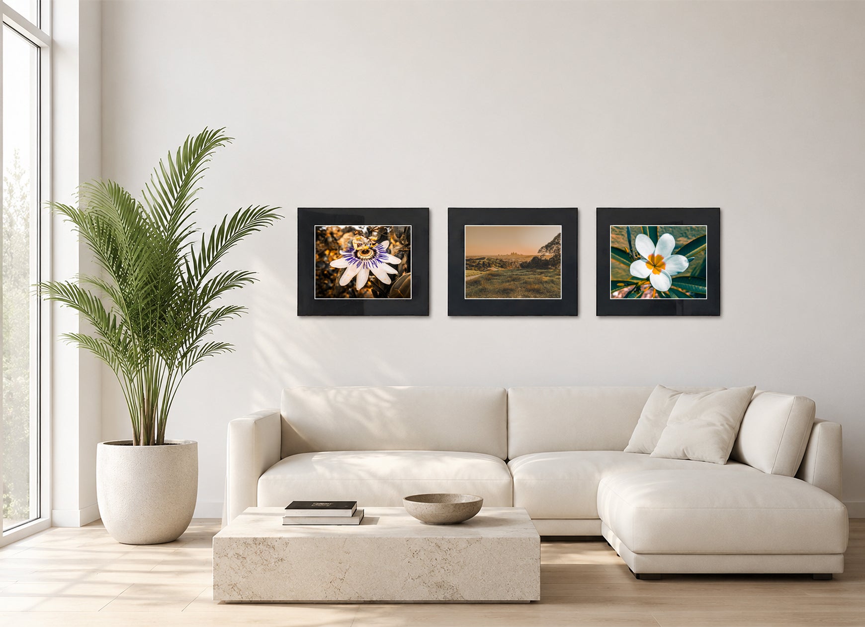 Three framed fine art photography prints displayed as a triptych gallery wall above a sofa with plant.