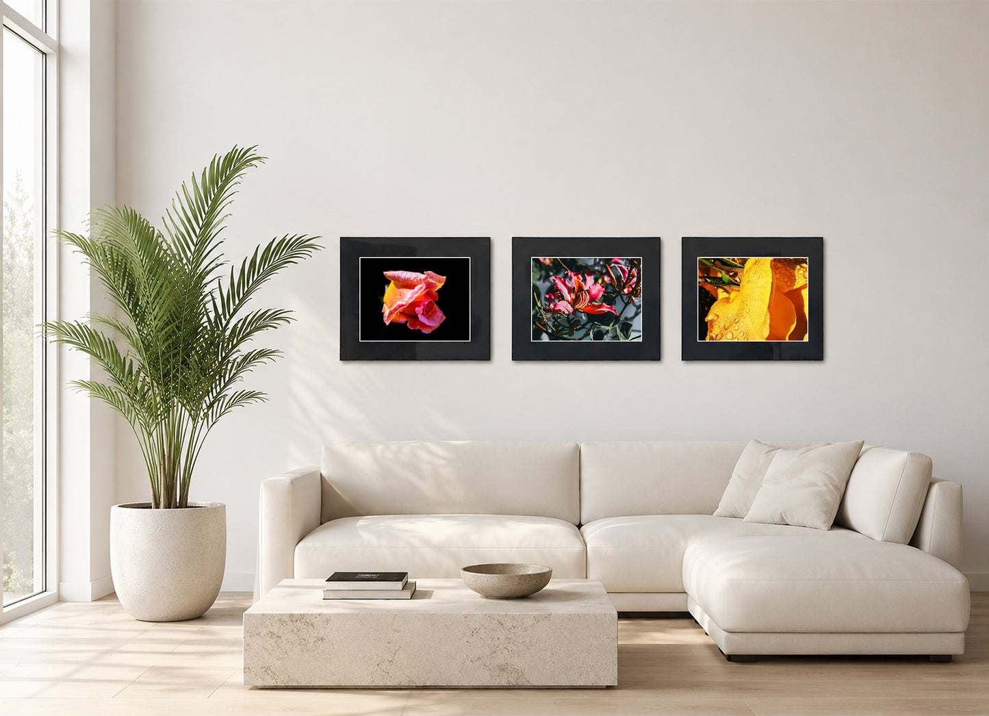Three framed fine art photography prints displayed as a triptych gallery wall above a sofa with plant.
