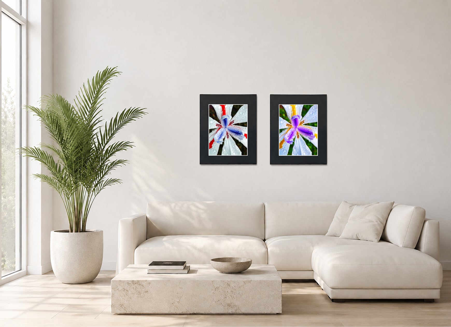 Two framed fine art photography prints displayed as a diptych gallery wall above a sofa with plant.