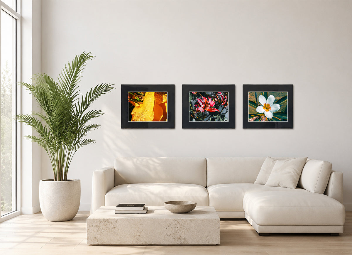 Three framed fine art photography prints arranged as a triptych gallery wall.