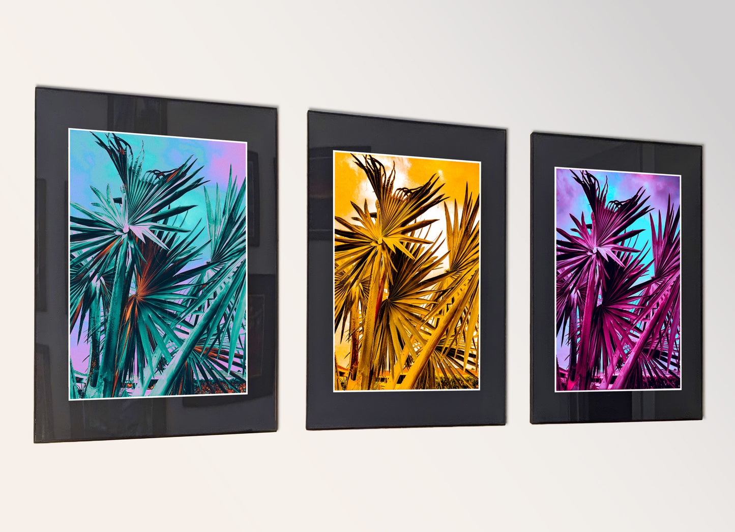 Three framed fine art photography prints arranged as a triptych gallery wall.