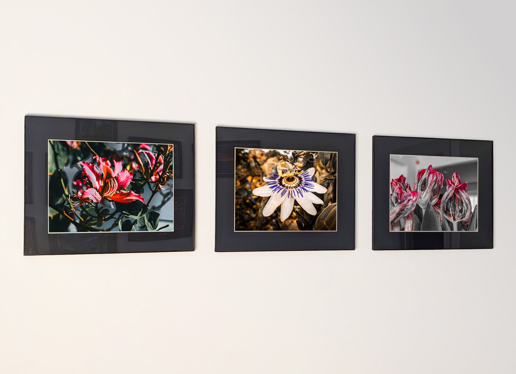 Three framed fine art photography prints arranged as a triptych gallery wall.