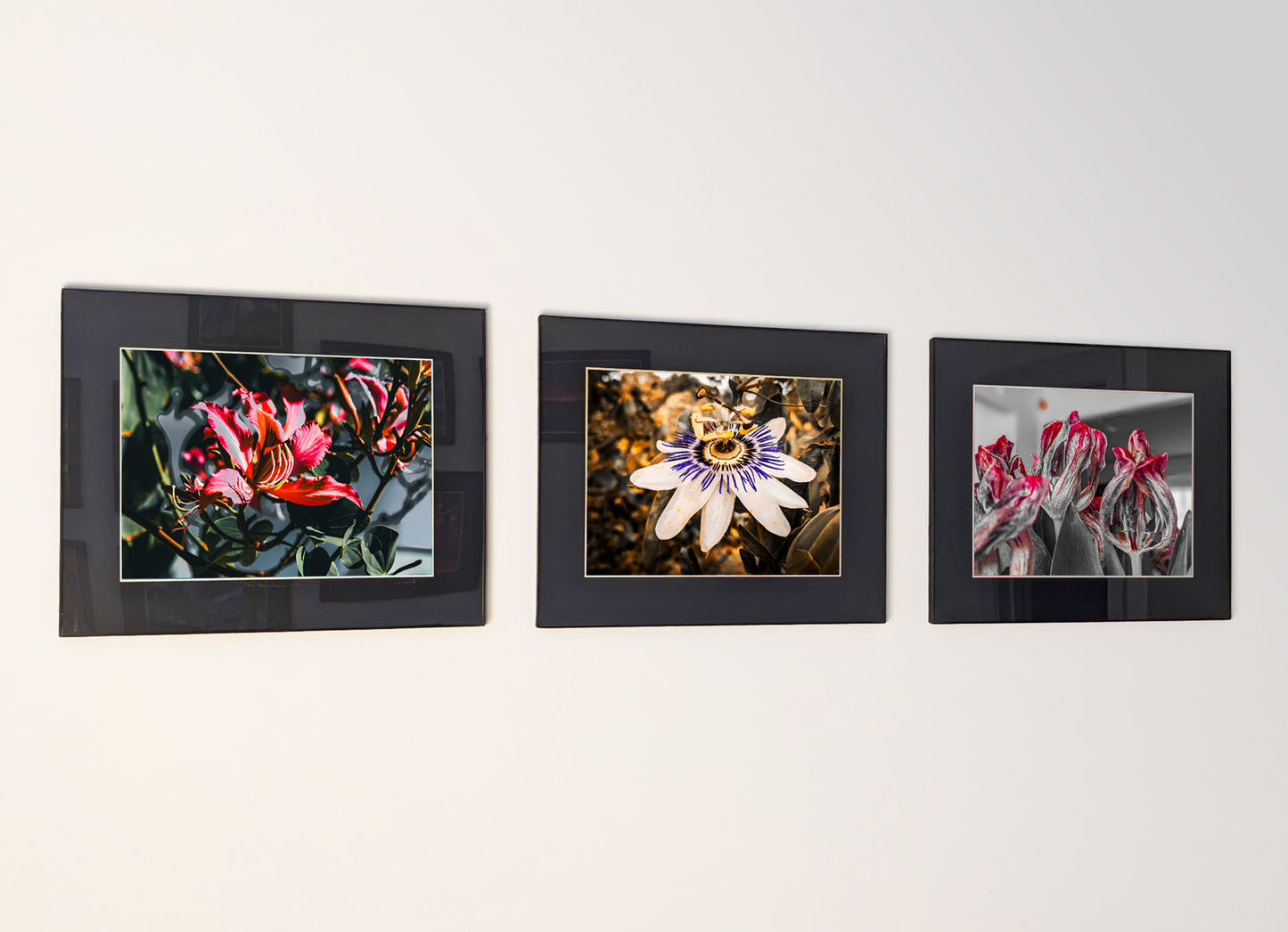 Three framed fine art photography prints arranged as a triptych gallery wall.