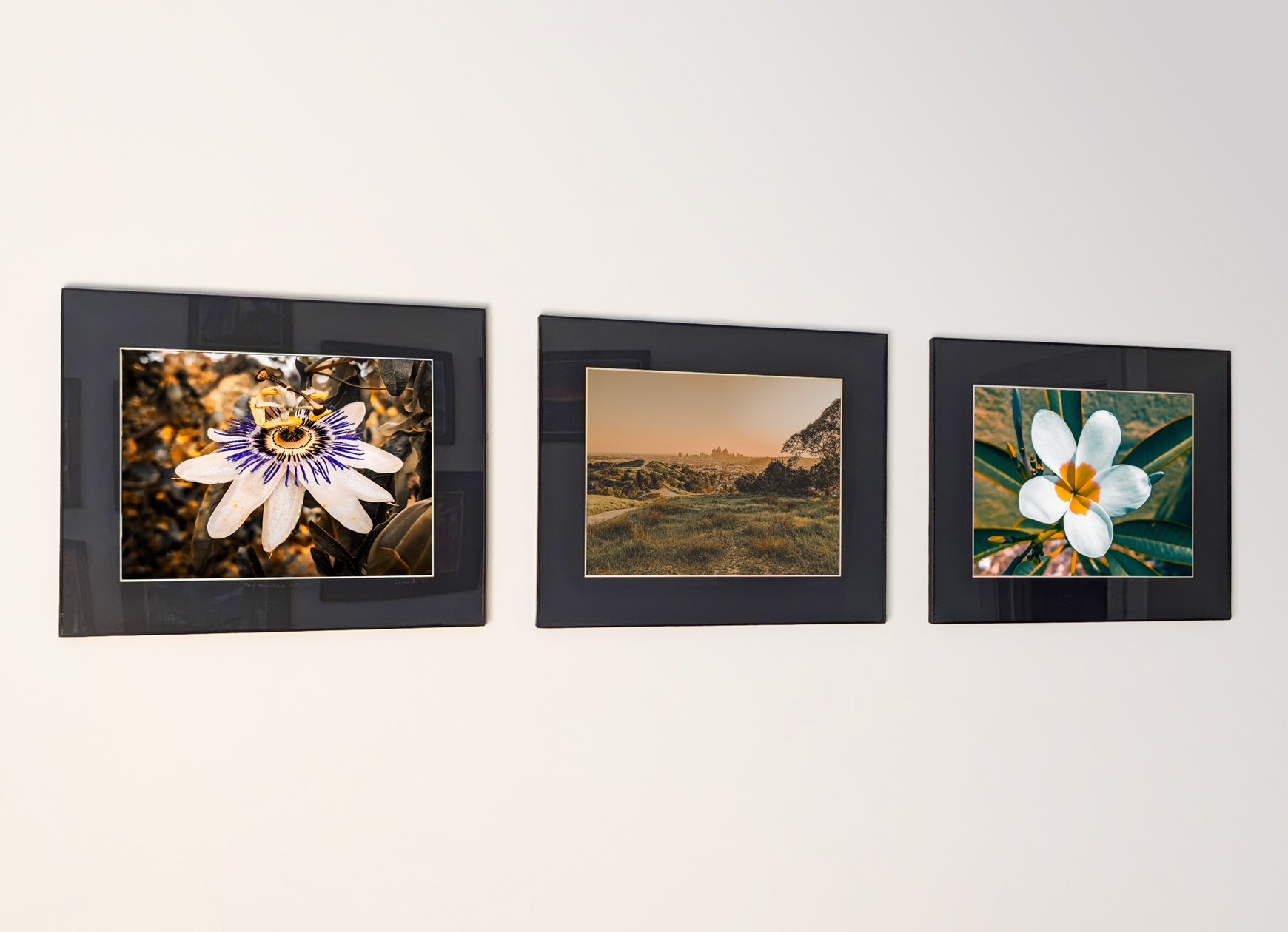 Three framed fine art photography prints arranged as a triptych gallery wall.