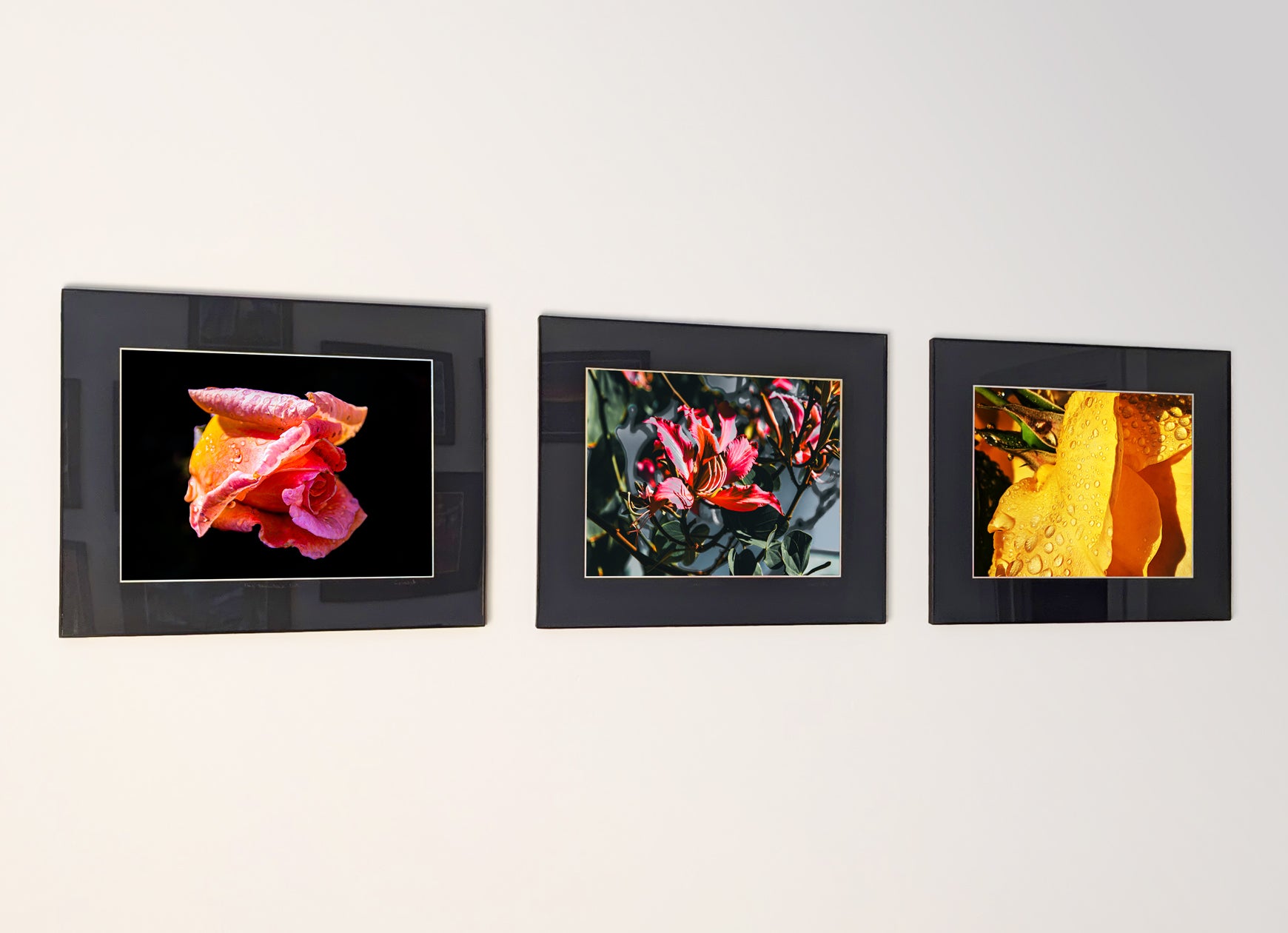 Three framed fine art photography prints arranged as a triptych gallery wall.