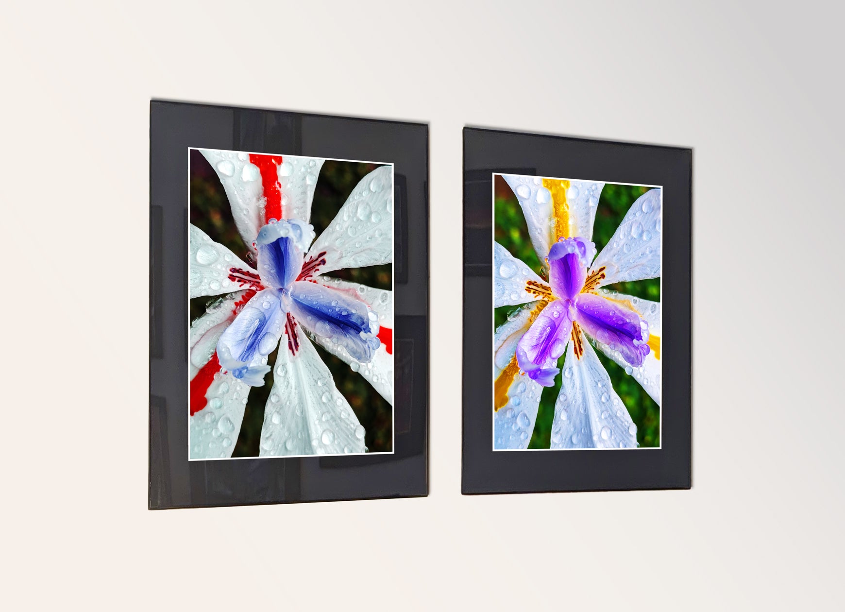 Two framed fine art photography prints arranged as a diptych gallery wall.